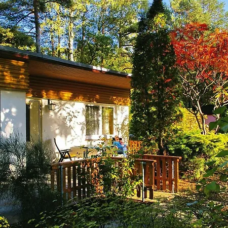 Vakantiehuis Semi-detached House Dita - Dbs08006-l Oranienburg