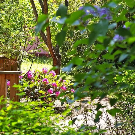Semi-detached House Dita - Dbs08006-l Vakantiehuis